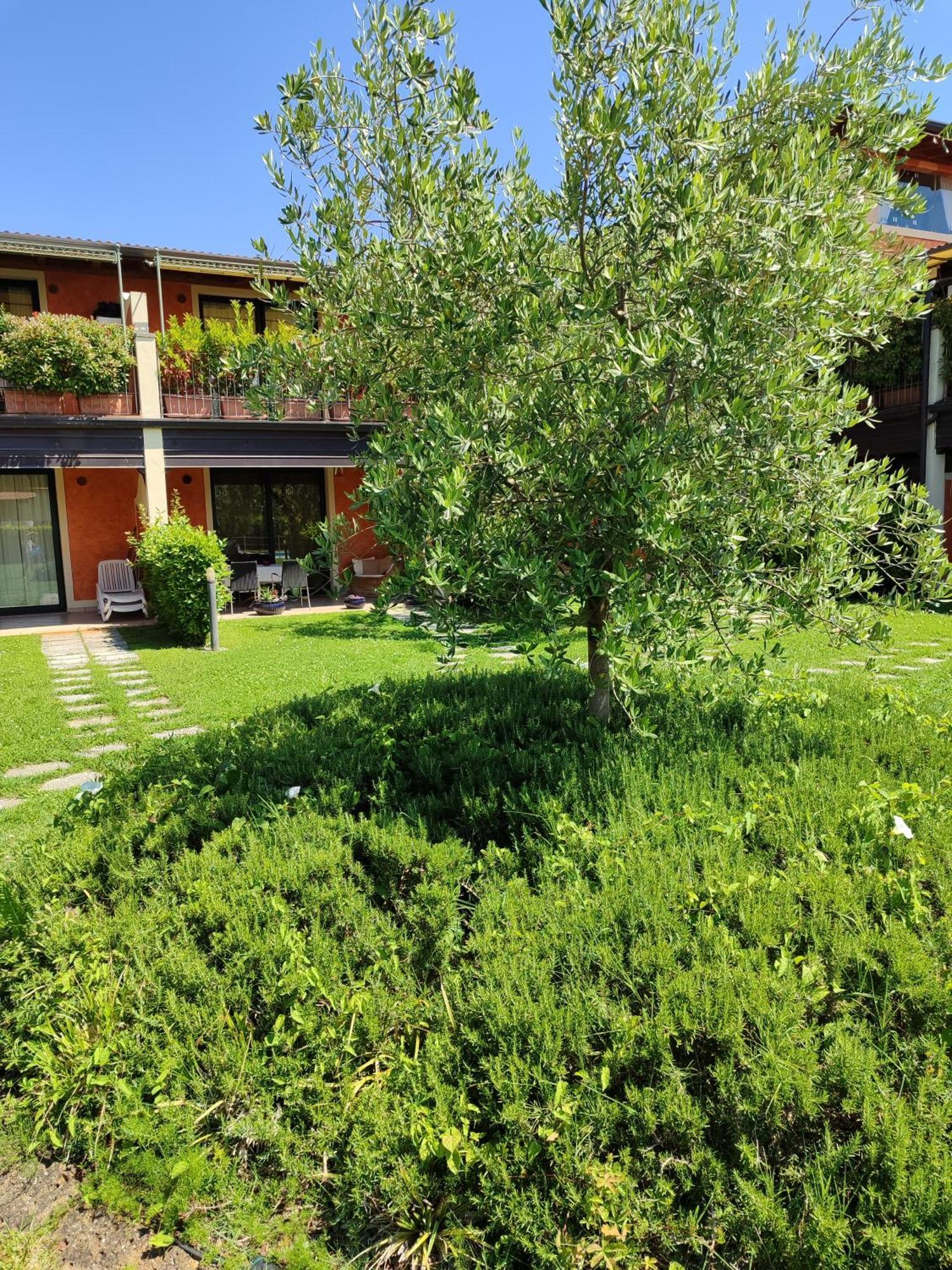 Apartment Casa Degli Ulivi Padenghe sul Garda